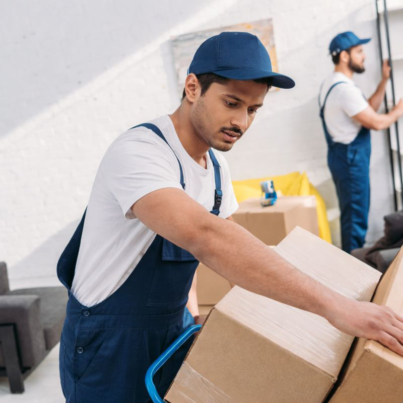 Car and bike transport services in Vijayawada